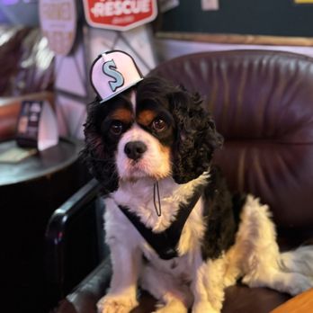 The Old Inn Tavern - #1 Sports Fan - Bars Near Me - Snohomish, Washington