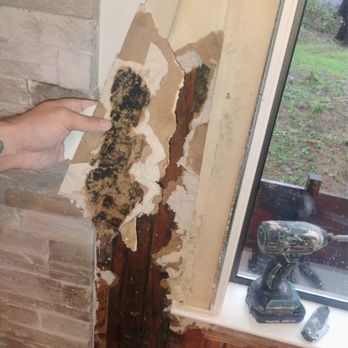 The Green Bee Restoration - Mold damage and demo. - Damage Restoration Near Me The Green Bee Restoration - Mold damage and demo. - Damage Restoration Near Me