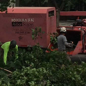 ArborScape - ArborScape did a good cleanup job. - Tree Services Near Me - Englewood, Colorado