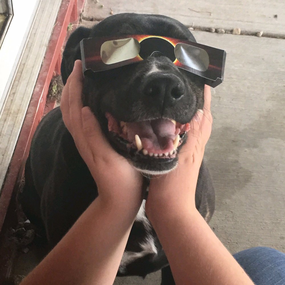 Safety first! Safety first!