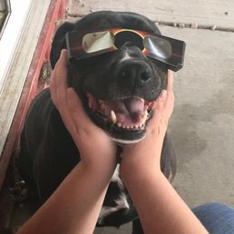 Safety first! Safety first!