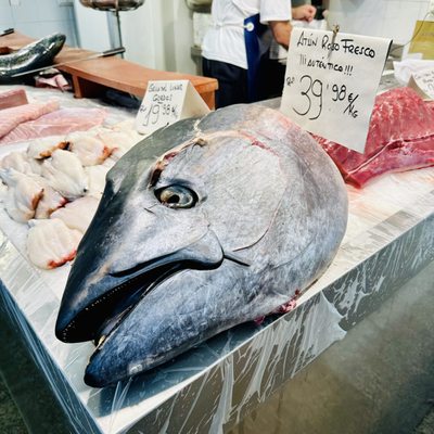 Mercado Central de Abastos de Cádiz by null