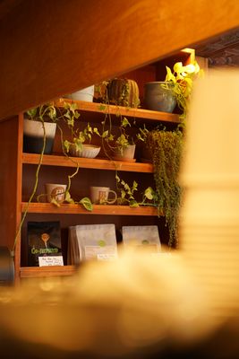 Blue Brown Cafe by null