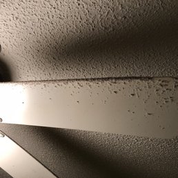 Master bedroom ceiling fan Master bedroom ceiling fan