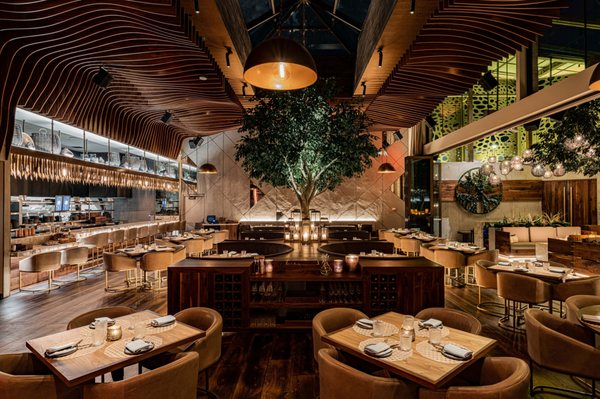 Toca Madera Scottsdale by null