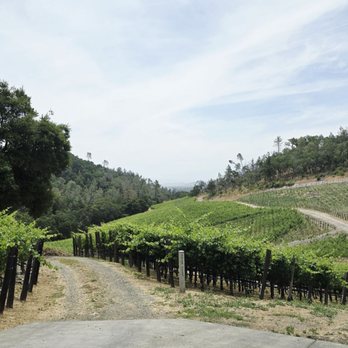 Fantesca Estate & Winery - Rolling hills and vineyards - serenity - Wineries Near Me - St. Helena, California Fantesca Estate & Winery - Rolling hills and vineyards - serenity - Wineries Near Me - St. Helena, California