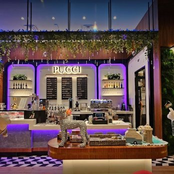 PUCCI Café - Dog Friendly Public Cafe - Coffee & Tea Near Me - Katy, Texas PUCCI Café - Dog Friendly Public Cafe - Coffee & Tea Near Me - Katy, Texas