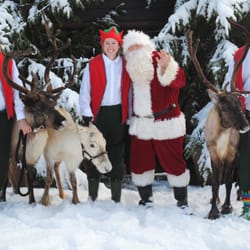 Colchester Zoo - Magic of Christmas event at Colchester Zoo