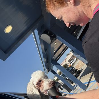 7 Brew Coffee - My dogs go crazy for pup cups! - Coffee & Tea Near Me - Cottleville, Missouri