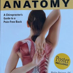 Hudson Rivertowns Chiropractic: Philip Striano, D.C - Healthy Back Anatomy book with Exercises