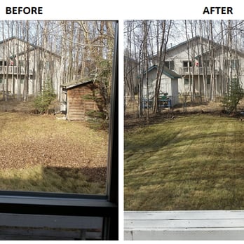Lawn Savers Lawn Care - before and after - Gardeners Near Me - Anchorage, Alaska Lawn Savers Lawn Care - before and after - Gardeners Near Me - Anchorage, Alaska