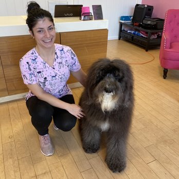 Barbie's Pet Salon - Jake post grooming by Shiva - Pet Groomers Near Me - Santa Barbara, California