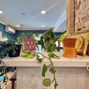 Dirt Coffee Bar - Coffee & Tea Near Me - Littleton, Colorado Dirt Coffee Bar - Coffee & Tea Near Me - Littleton, Colorado