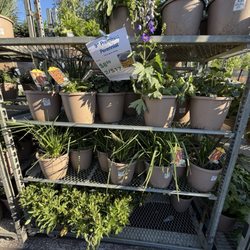 Fairless Hills Garden Center