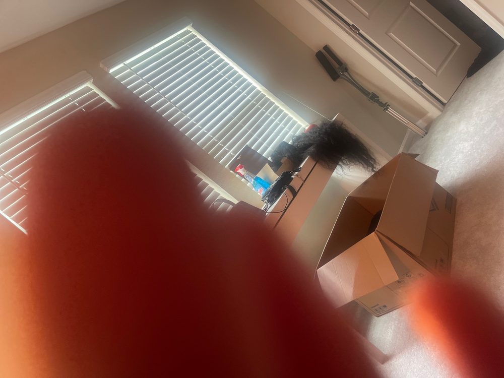 REGAL NAILS, SALON & SPA Updated August 2024 10 Photos & 15 Reviews