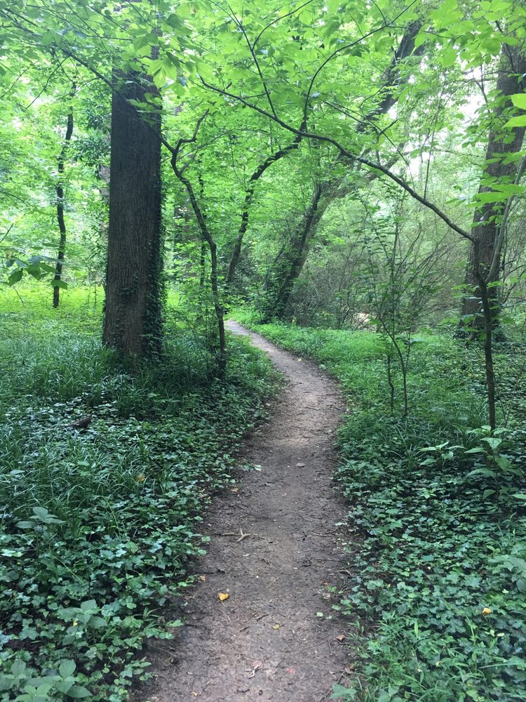 DEARBORN PARK Updated June 2024 1301 Deerwood Dr, Decatur,