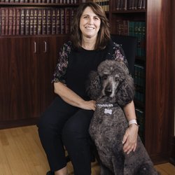 Noble Law - Lisa Noble
