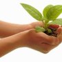 Trinity Energy Healing