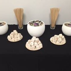 Pure Sweetness S'mores table