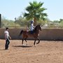 Photo of Scottsdale Equestrian Academy