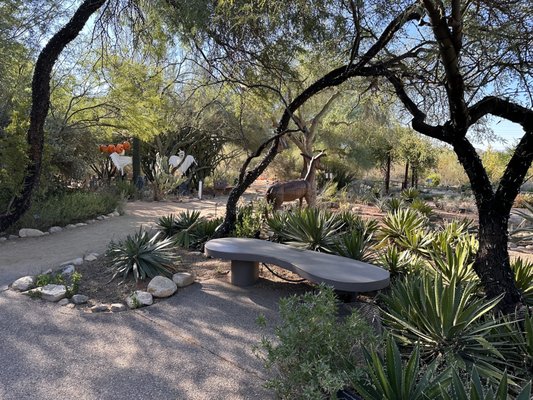 Tohono Chul Bistro by null