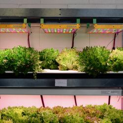 AGRITECTURE - Stop by and check out the DIY +farm vertical farming system for yourself. We can teach you how to build your own.
