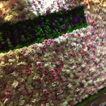 Designs By David - Flower wall - Florists Near Me - Los Angeles, California