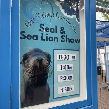 Hersheypark - Very cute show. - Amusement Parks Near Me - Hershey, Pennsylvania Hersheypark - Very cute show. - Amusement Parks Near Me - Hershey, Pennsylvania