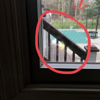 Annie At  Your Service - Hand print on a window in my kitchen - Home Cleaning Near Me
