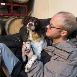 Unleashed Dog Hotel - Nova and her Dad!