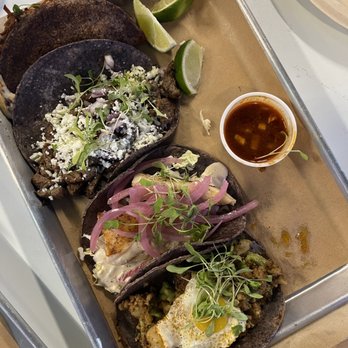 Casa Masa - Birria, carne asada, pescado, and hangover tacos - Mexican Near Me - Sarasota, Florida Casa Masa - Birria, carne asada, pescado, and hangover tacos - Mexican Near Me - Sarasota, Florida