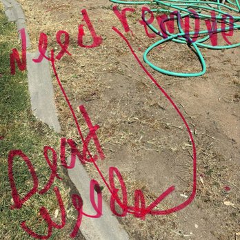 F & M Landscaping - Left weeds - Landscaping Near Me F & M Landscaping - Left weeds - Landscaping Near Me