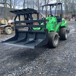 Tipping Timber Tree Removal