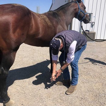 Valley Equine Hospital - Pre purchase exam - Veterinarians Near Me - Gilroy, California Valley Equine Hospital - Pre purchase exam - Veterinarians Near Me - Gilroy, California