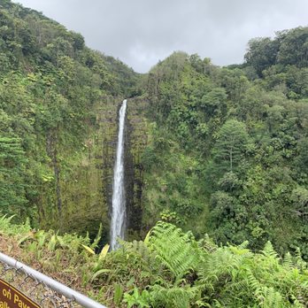 Akaka Falls State Park - Akaka Falls - Parks Near Me - Honomu, Hawaii