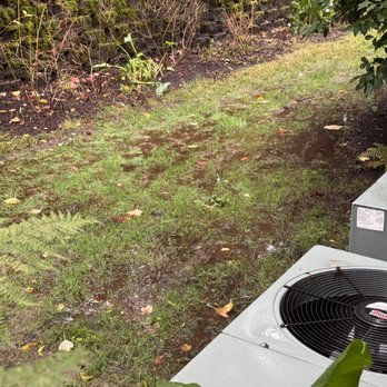 Mid Valley Drain - The swamp before drain install. - Plumbing Near Me - Jefferson, Oregon