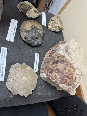 Ben Reifel Visitor Center by null