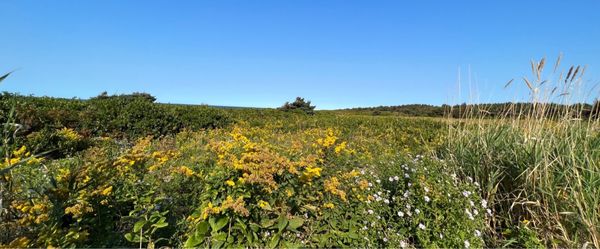 Cavendish Beach, Prince Edward Island National Park by null