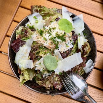 Bar Chica - Ensalada de Lechuga $16 - Tasty salad none the less. - Tapas Bars Near Me - Toronto, Ontario Bar Chica - Ensalada de Lechuga $16 - Tasty salad none the less. - Tapas Bars Near Me - Toronto, Ontario