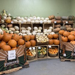 Pumpkins!