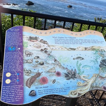 Heisler Park - Parks Near Me - Laguna Beach, California Heisler Park - Parks Near Me - Laguna Beach, California