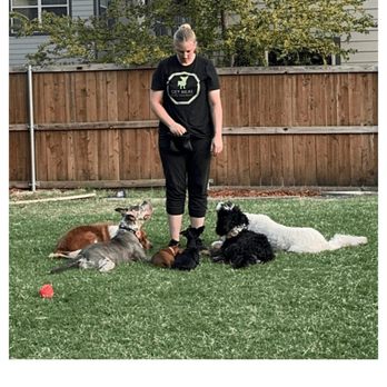 Get Real Dog Training - Article in the ShoutoutDFW magazine about me and my Get Real Dog Training business! - Dog Walkers Near Me - Dallas, Texas Get Real Dog Training - Article in the ShoutoutDFW magazine about me and my Get Real Dog Training business! - Dog Walkers Near Me - Dallas, Texas