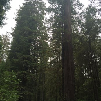 Panther Flat Campground - Campgrounds Near Me - Gasquet, California Panther Flat Campground - Campgrounds Near Me - Gasquet, California