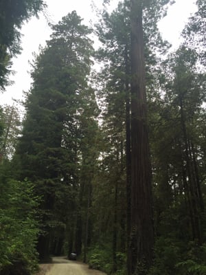 Panther Flat Campground by null