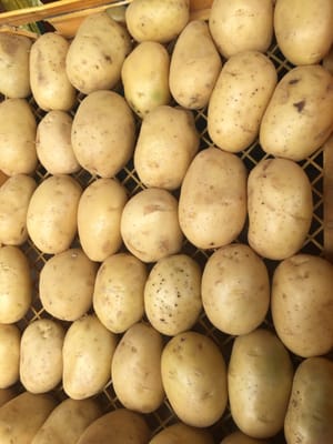 Central de Abastos de Oaxaca by null