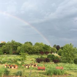 Rainbow over Natives Haven!