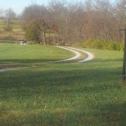 United Parcel Service - Get your binoculars out the delivery is in a plastic bag tied to a tree limb 100 feet from the street but 900 feet from the front door!