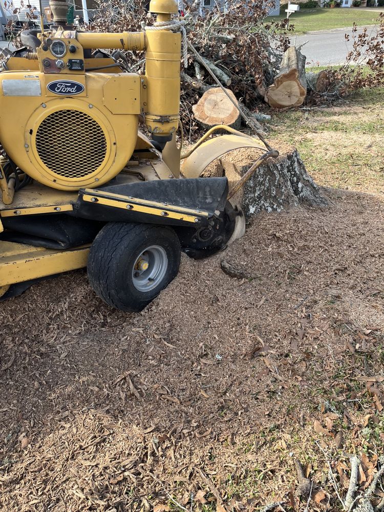 L and L Stump Grinding - tree service in Gulfport, MS