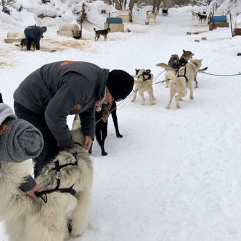Bear Ridge Adventures - Getting harnessed and ready to go! - Sledding Near Me - Coalville, Utah