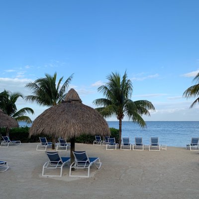 Reefhouse Resort & Marina by null